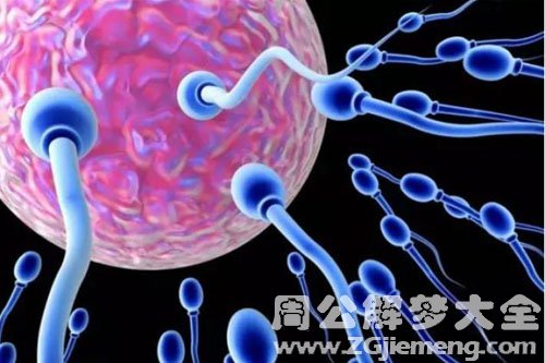 精子