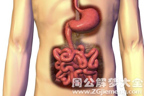 梦见肠子