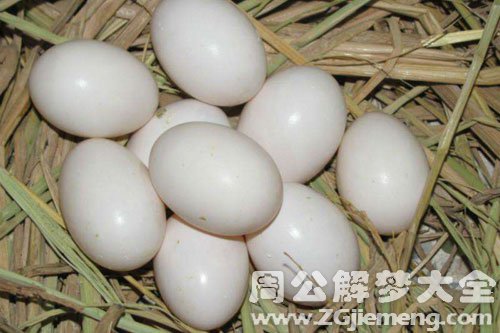 梦见鸽子蛋
