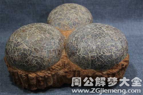 恐龙蛋