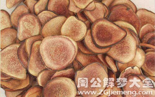 鹿茸
