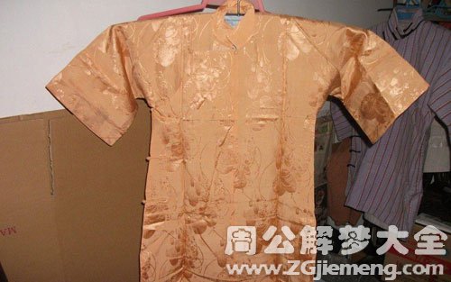梦见衣履