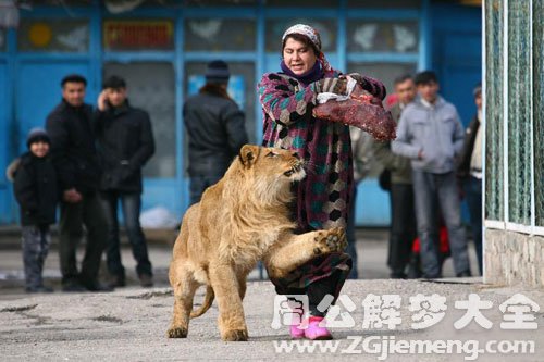 梦见狮子追我