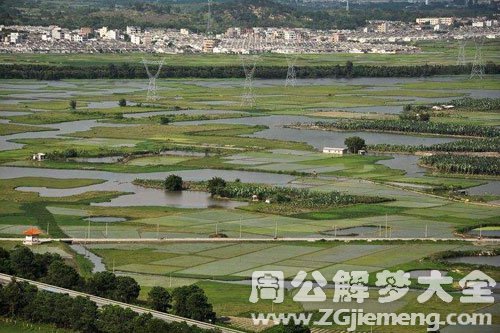 梦见填湖泊造田