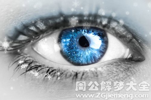 梦见雪花飘落眼睛上