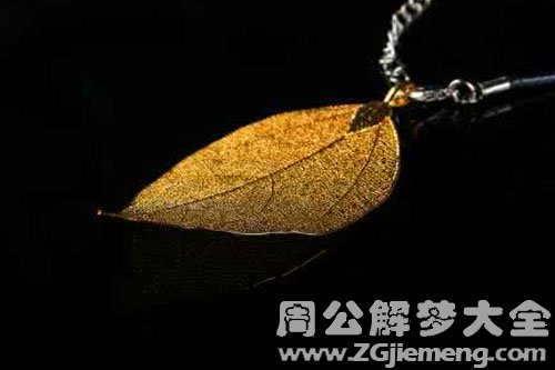 捡到金叶子