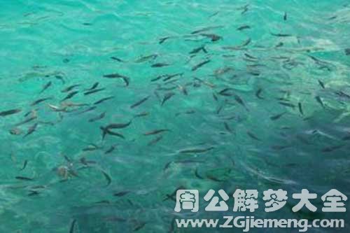 梦见好多好多水