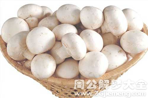 梦见白色蘑菇