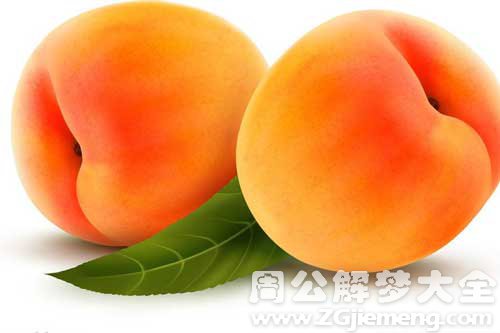 梦见打杏