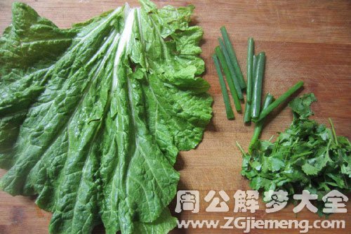 白菜和葱