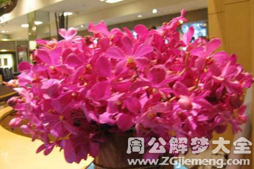 梦见满屋鲜花