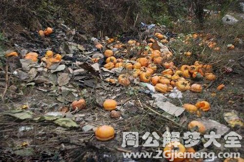 梦见柿子烂了一地