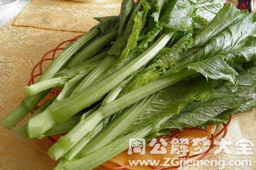 梦见拾菜