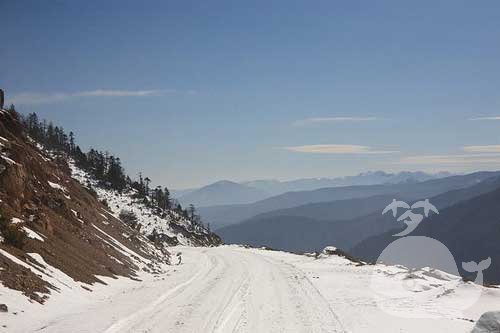 梦见路上有雪