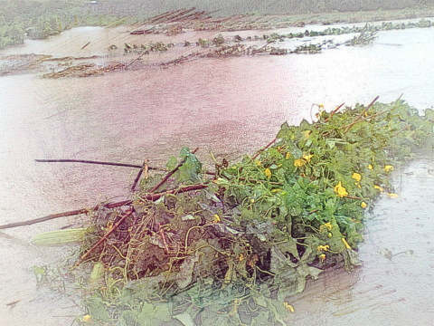 洪水 发大水