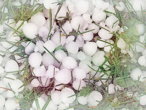 下冰雹