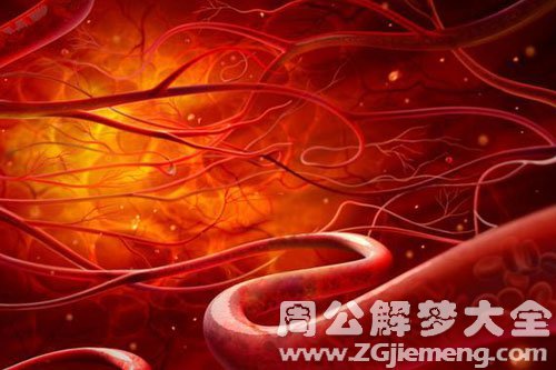 血管、