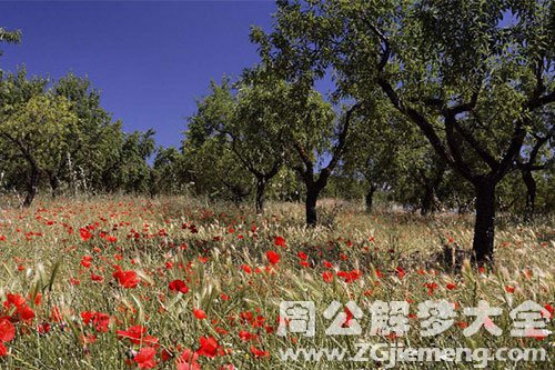 滑草
