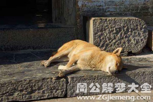 梦见石板上睡