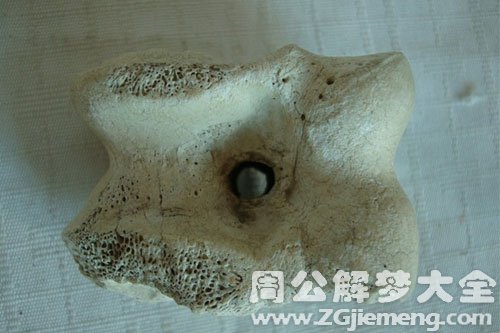 骨头