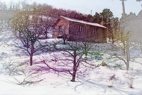 山上有雪