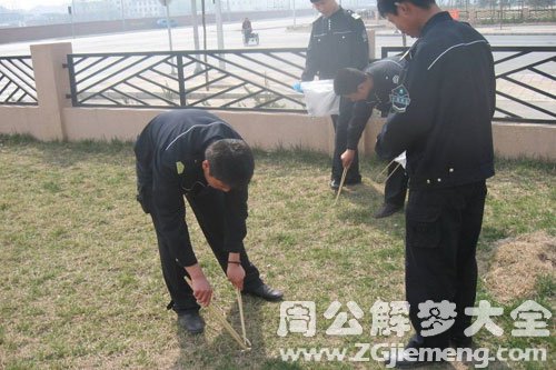 梦见拾粪