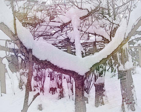 到处是雪