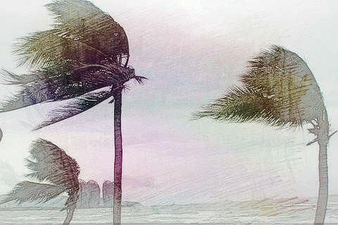 吹来狂风