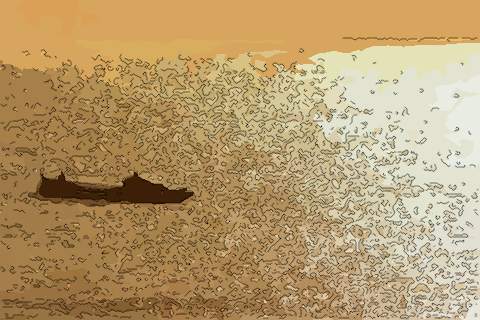 金色海洋