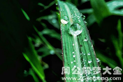 梦见露水