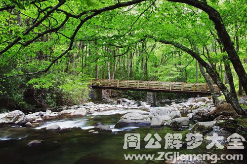 梦见潺潺流水