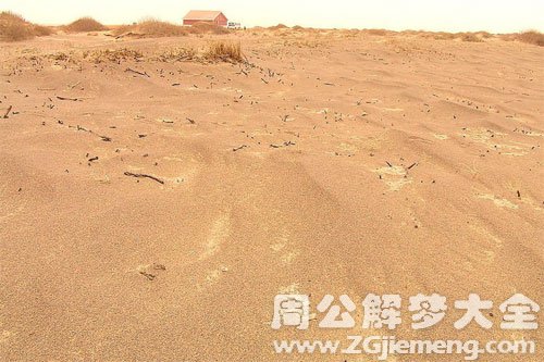 梦见沙土