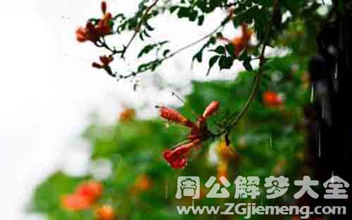 梦见梅雨.jpg