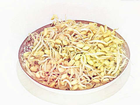 黄豆芽
