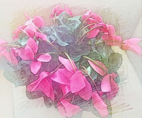花蔫了