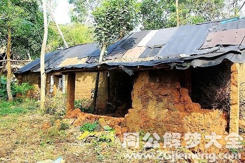 梦见茅房