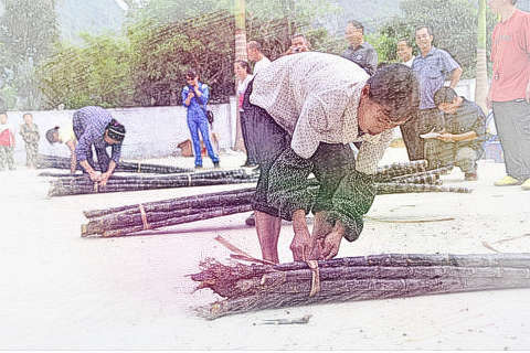 绑起甘蔗
