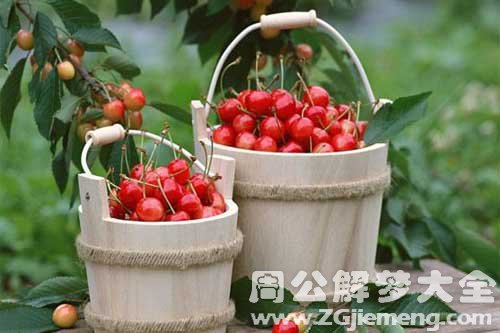 梦见樱桃 梦见樱桃