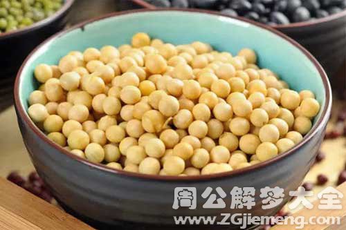 梦见黄豆、种黄豆
