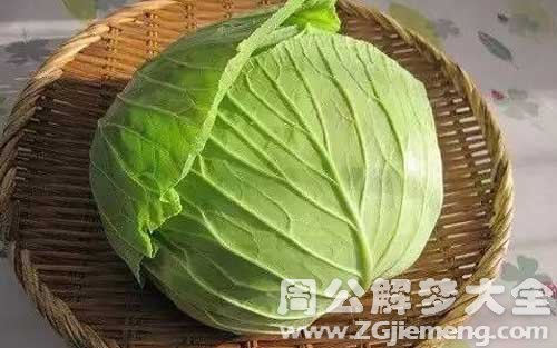 梦见大头菜.jpg