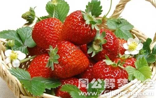 梦见草莓.jpg