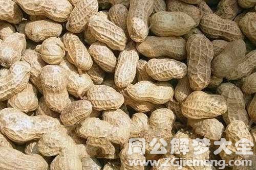 梦见花生