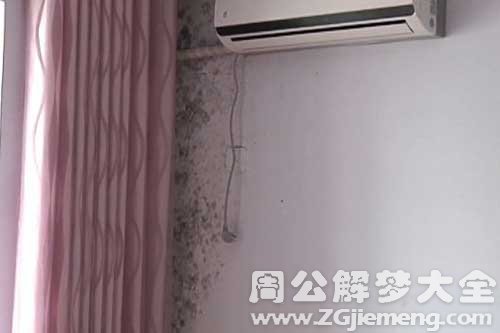 墙壁上长毛jpg