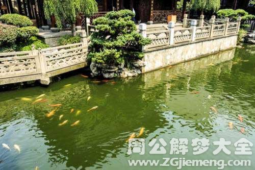 梦见掉进鱼塘里
