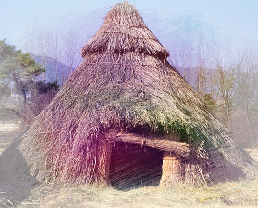  梦见茅草屋