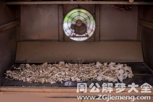 梦见骨骸灰烬