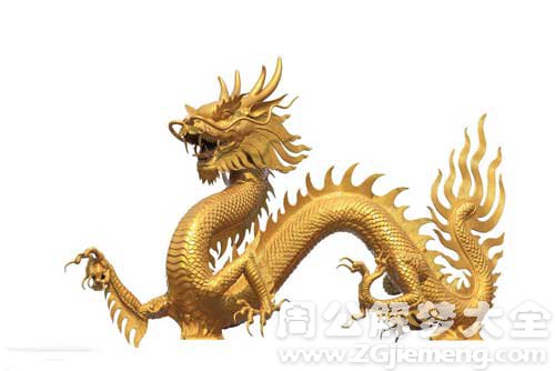 梦见金龙打架