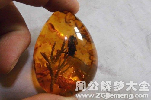 梦见琥珀