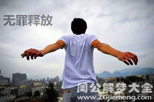 获得大赦-无罪释放