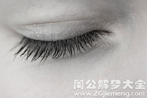 睫毛 睫毛